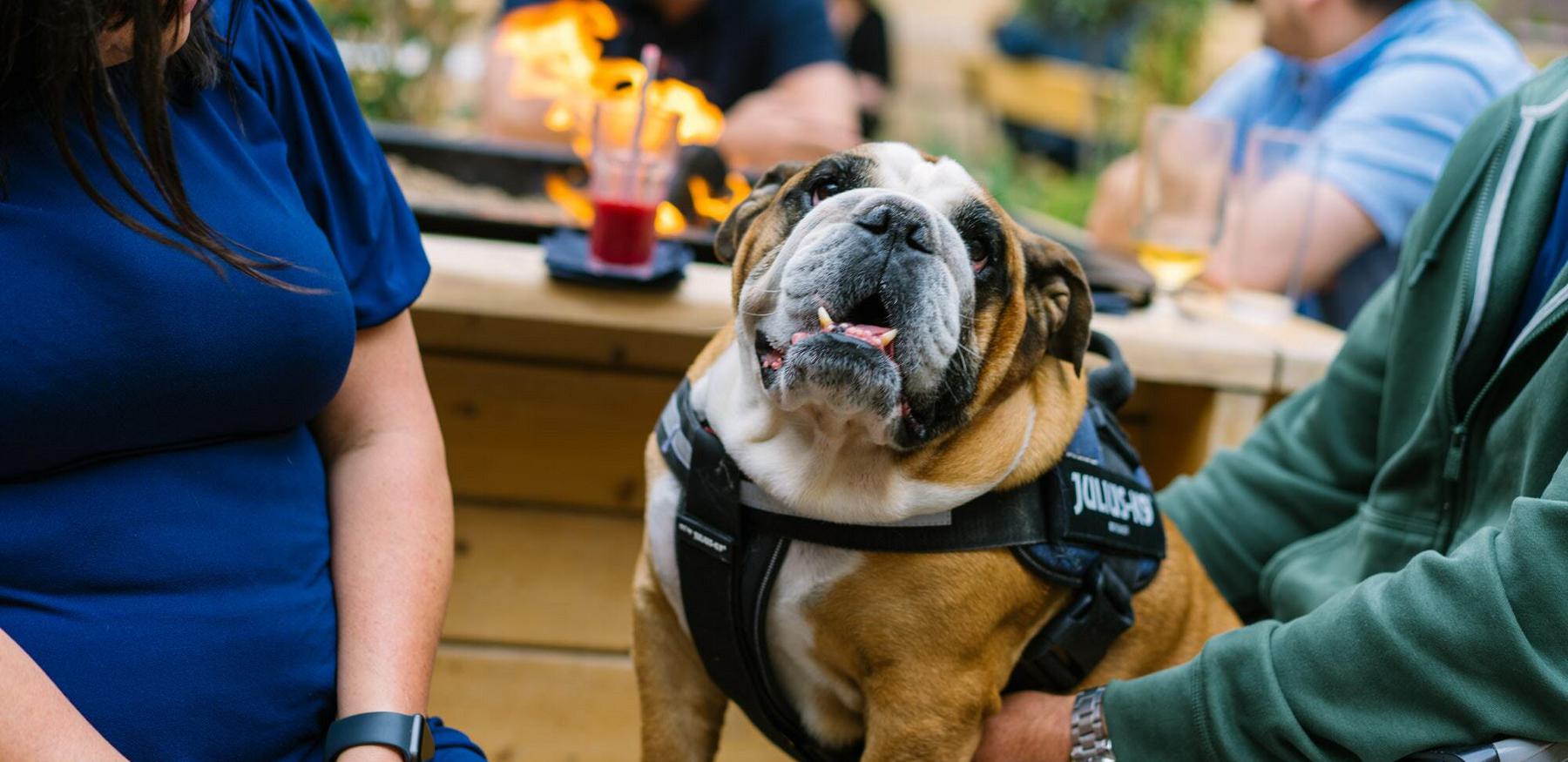 01 07 22 Thors Orangery 23 of 148