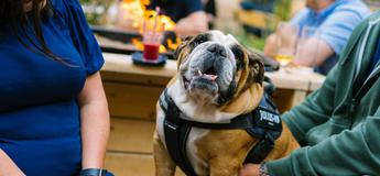 01 07 22 Thors Orangery 23 of 148