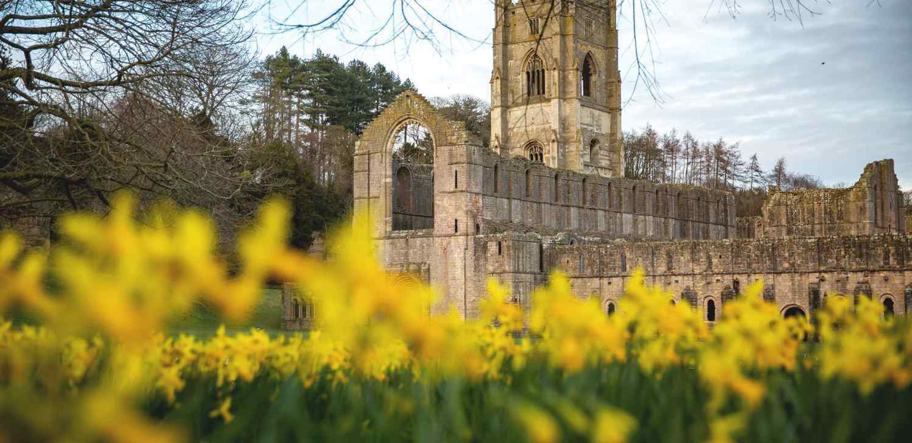 14 10032020 FASR Signsof Springs