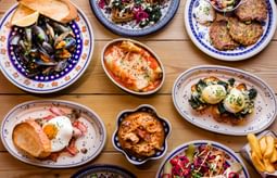 221 A1113 Enhanced NR