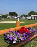 231778879 5902052093169096 2355430003759375948 n