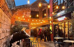 277531433 465819041896500 5385597818028627384 n