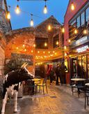 277531433 465819041896500 5385597818028627384 n