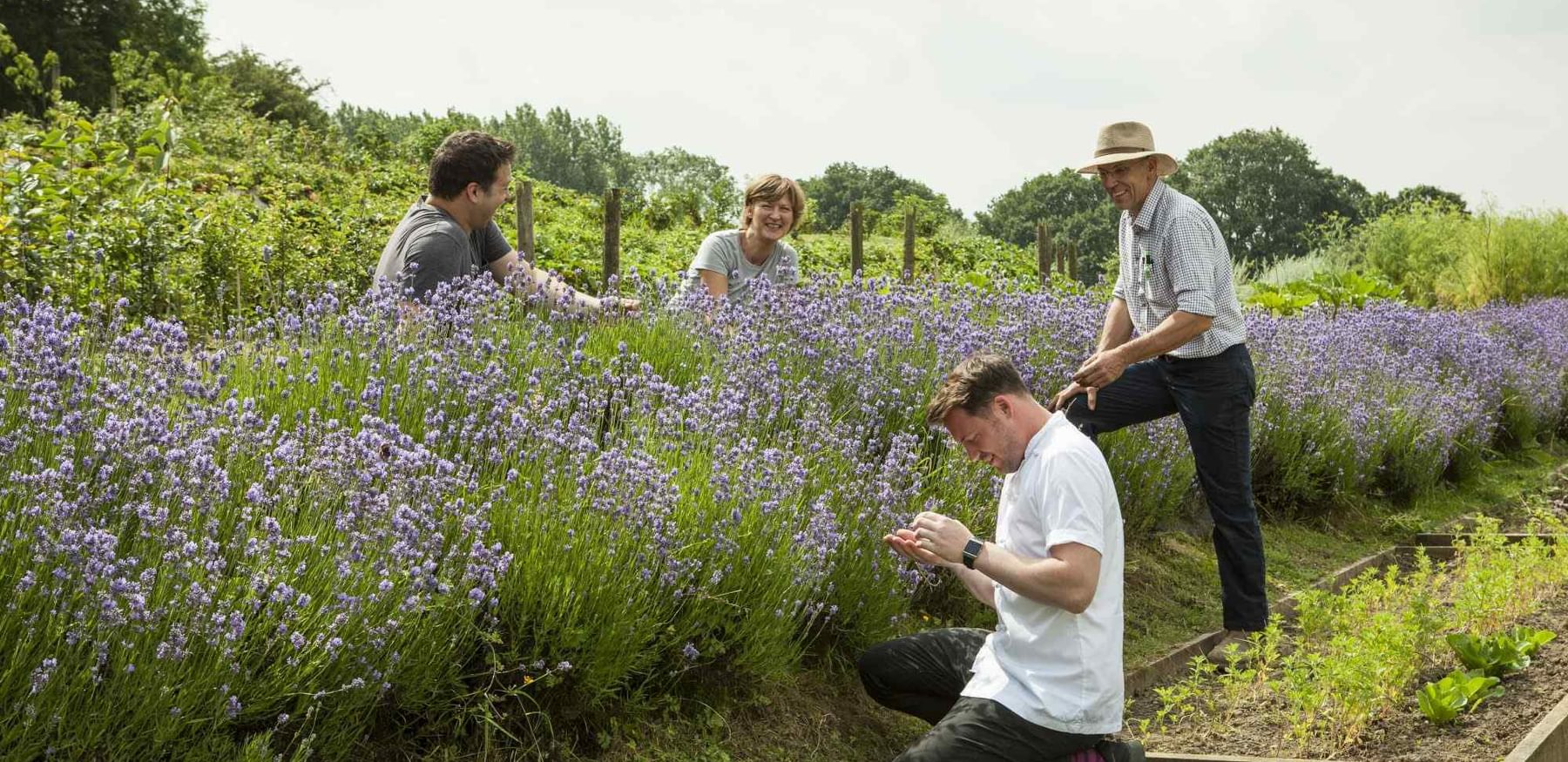 AHW BS JULY19 GARDEN 67 2000x1333 1