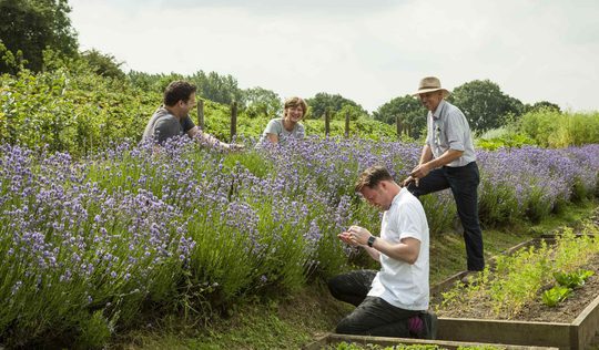 AHW BS JULY19 GARDEN 67 2000x1333 1