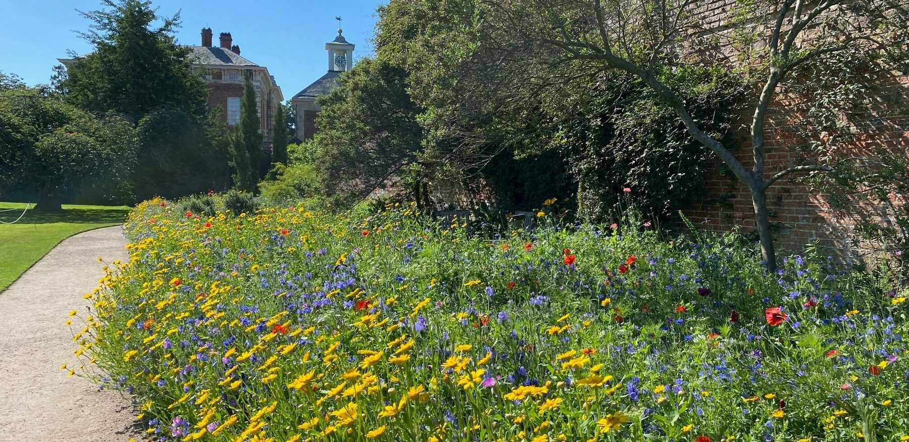 Beningbrough wildflowers 2021 Joanne Parker