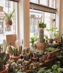 Botanic Interior 169985002