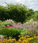 Breezy Knees Gardens floral 1776677617