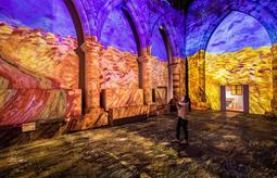 Cag York Van Gough 0024 230481856