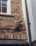 Cat Trail 8 2027115739