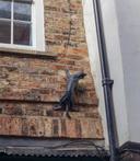 Cat Trail 8 2027115739