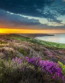 Coastal sunset view at Robin Hoods Bay Credit Ebor Images 336095133