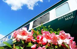 Derwent Mail Spring 1386447608