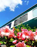 Derwent Mail Spring 1386447608