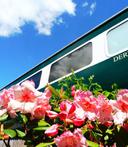 Derwent Mail Spring 1386447608