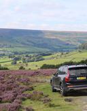 Driver Guding vehicle RYT 1774149714