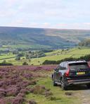 Driver Guding vehicle RYT 1774149714