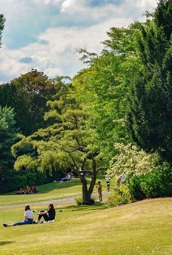 Free Things to Do in York Blog