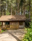 Griffon Forest 9317 2