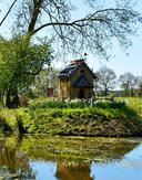 Hero image 786999279