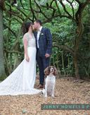 Image with credit 378853239