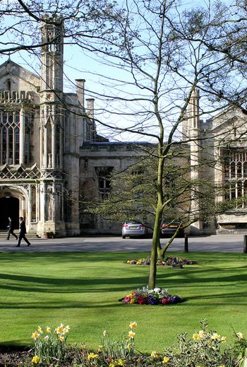 Img ID50664494 1661803452