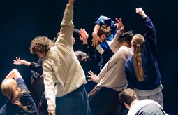 In the brain VY Hero