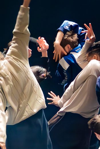 In the brain VY Hero