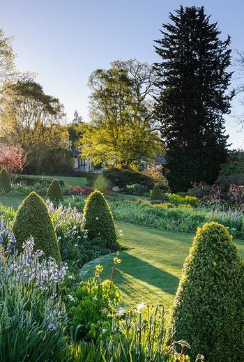 JI 250417 RHS Harlow Carr 017 1997643652