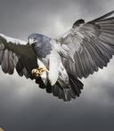 NCBP 1823 Oct10 1697375993