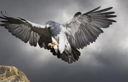 NCBP 1823 Oct10 1697375993