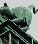 P1200855 2 890026869