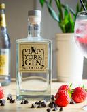 Paula Duck Photographer 2020 11 157695829