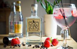 Paula Duck Photographer 2020 11 157695829