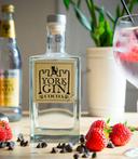 Paula Duck Photographer 2020 11 157695829