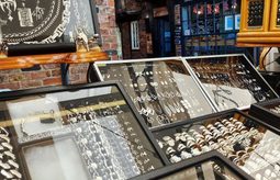 Resized Insta Little Shambles view