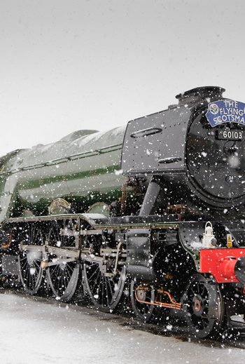 Scotsman in the snow in North Yard 2 March 2016 Credit NRM 1