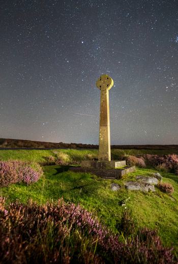 Shutterstock 1845146038