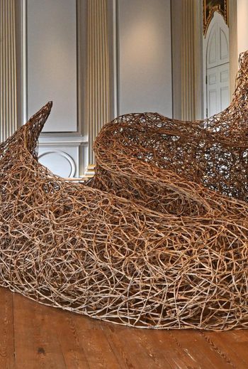 Thicket in the Saloon Beningbrough Wilderness Exhibition c National Trust Anthony Chappel Ross 2 1