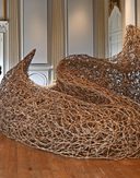 Thicket in the Saloon Beningbrough Wilderness Exhibition c National Trust Anthony Chappel Ross 2 1