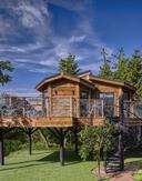 Tree Hs Ext 1 copy 2 816206753