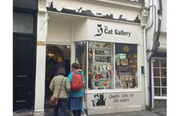 The Cat Gallery Shop front