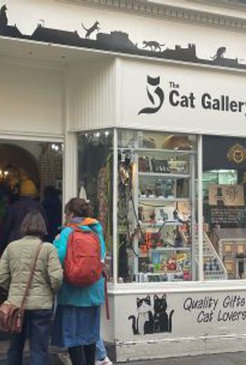 The Cat Gallery Shop front