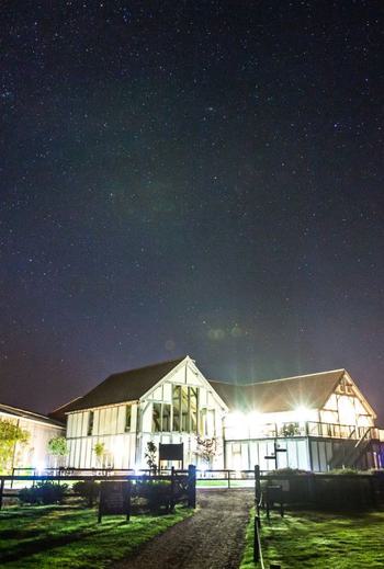 Wood Large 594 716894063