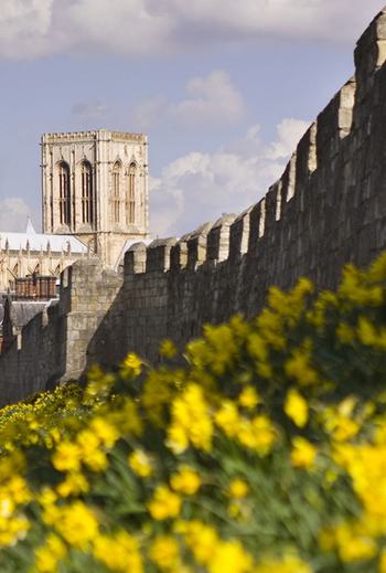 York City Walls Free Things Blog