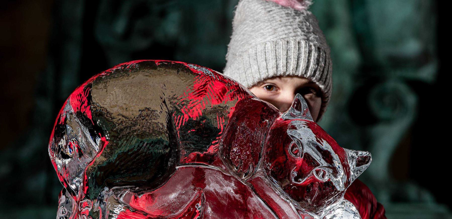 York Ice Trail Returns 003 Charlotte Graham