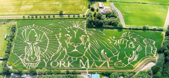 York Maze