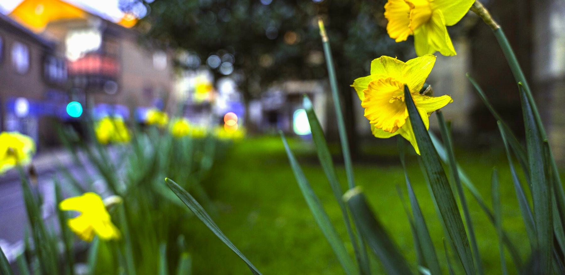 York Spring 2023 0122