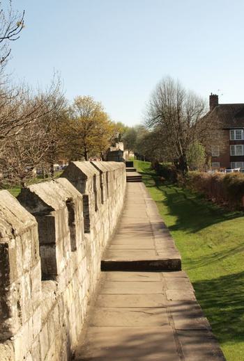 York Walls walkways 999476768