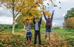 Yorkshire arboretum Autumn children 1819205965